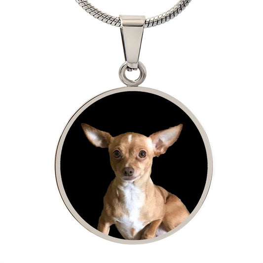 Custom Order chihuaha